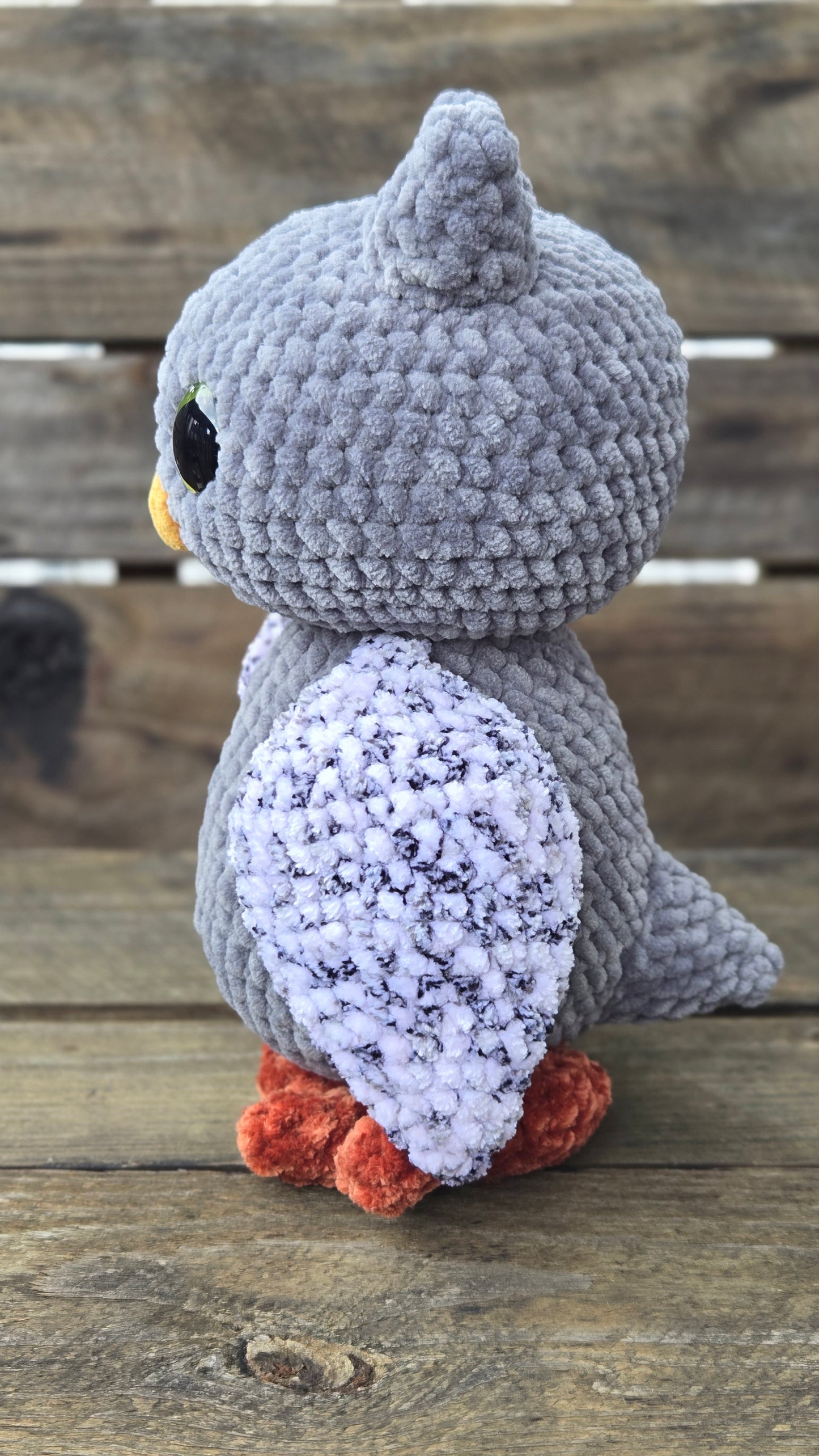 XL Owl